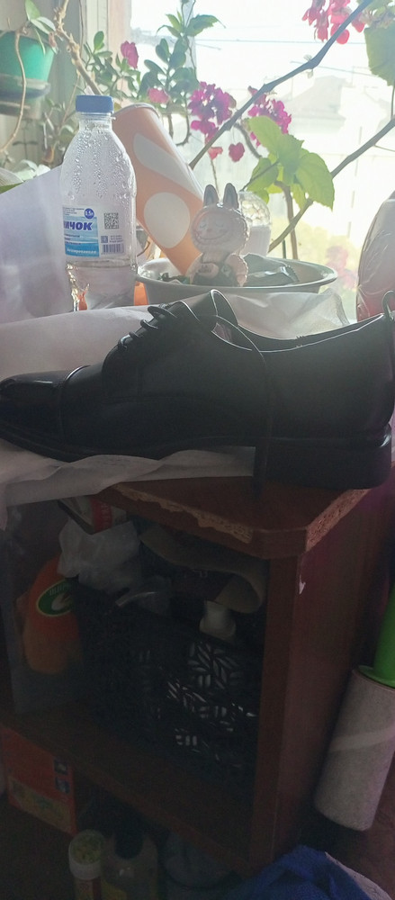 review